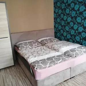  Apartmán 1+1 V Karlových Varech Česká republika